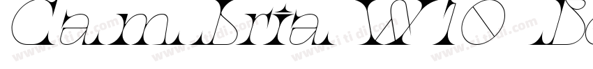 CambriaW10 BoldItali字体转换